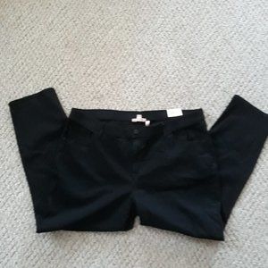 Evri Jeans Black Size 24W Stretch Straight Leg